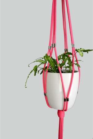 Legally Blonde - Handmade in Australia, Pink modern macrame plant hanger Silver Swages