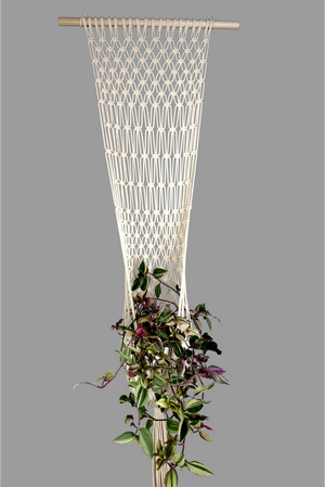 Jane Austen - Handmade in Australia, natural macrame wall plant hanger, wall plant pendant