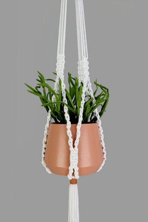 Chain Reaction - Handmade in Australia, White macrame plant hanger