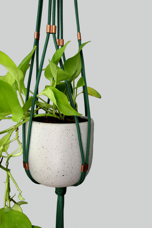 Green with Envy - Handmade in Australia, Green modern macrame plant hanger copper