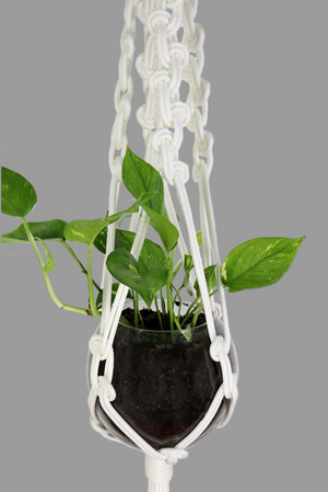 Hey Zeus! - Handmade in Australia, White modern macrame plant hanger