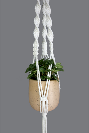 That 70's Show - Handmade in Australia, twist white macrame plant hanger