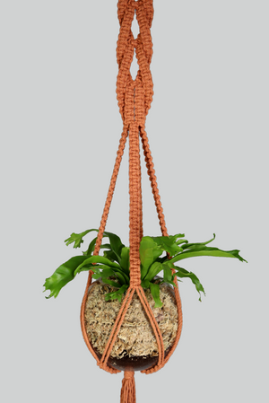 Medusa - Handmade in Australia, Terracotta macrame plant hanger