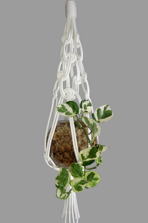 Murphy's Law - Handmade in Australia, White modern macrame plant hanger