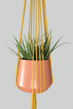 Mustard - Made in Australia, modern macrame plant hanger