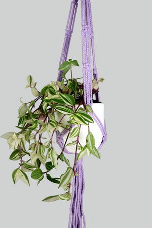 Purple Rain - Handmade in Australia, macrame plant hanger