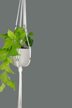 Jolene - Handmade in Australia, white modern macrame plant hanger silver